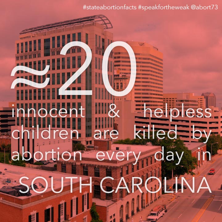 ≈ 20 innocent & helpless children are killed by abortion every day in South Carolina