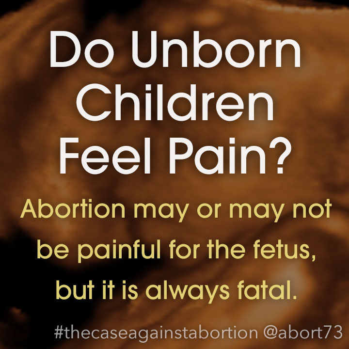 Do Unborn Children Feel Pain?: Abortion may or may not be painful for the fetus, but it is always fatal.