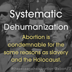 Systematic Dehumanization