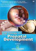 The Biology of Prenatal Development