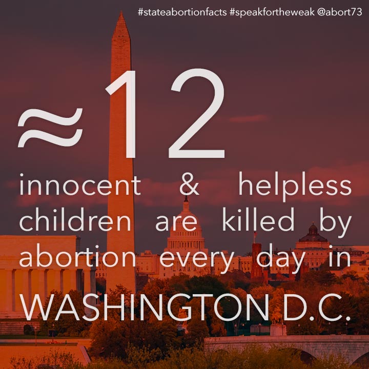 ≈ 12 innocent & helpless children are killed by abortion every day in Washington D.C.