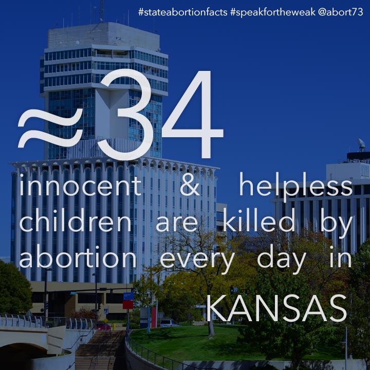 ≈ 21 innocent & helpless children are killed by abortion every day in Kansas