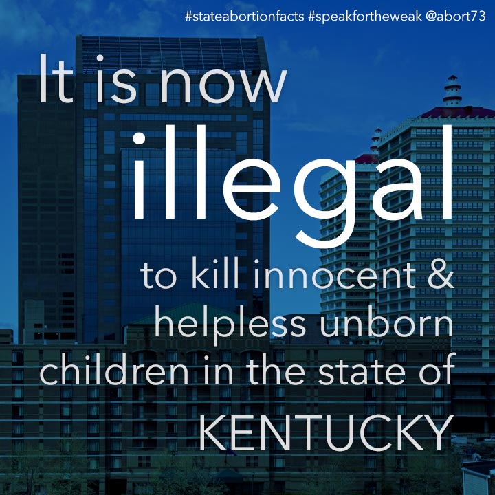 ≈ 12 innocent & helpless children are killed by abortion every day in Kentucky