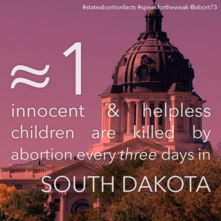 ≈ 1 innocent & helpless children are killed by abortion every <i>3</i> days in South Dakota