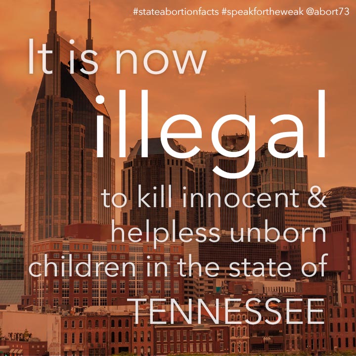 ≈ 27 innocent & helpless children are killed by abortion every day in Tennessee